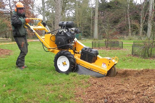 Tree stump services tree stumping machine
